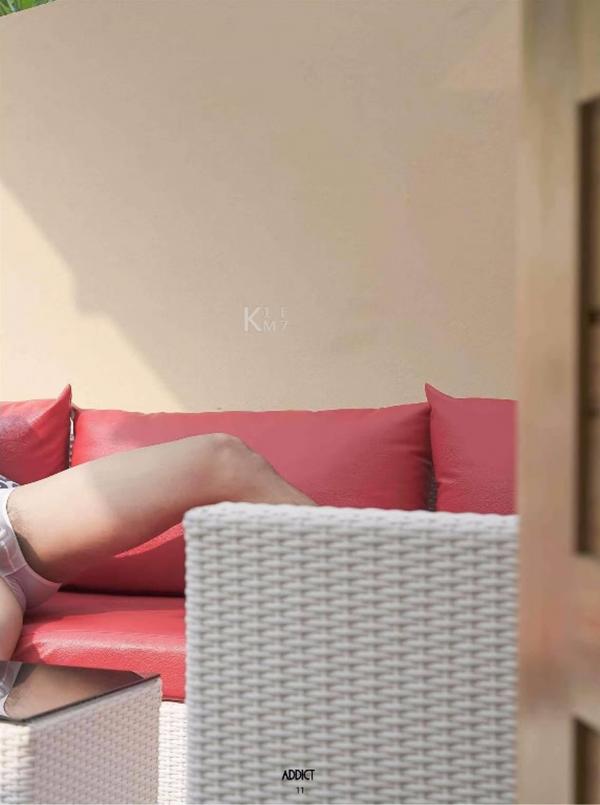 Addict--The-Premium-Issue